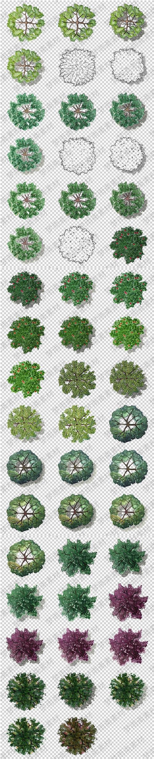 城市景观园林设计树木顶视图png格式透明底免抠元素图片设计素材淘宝