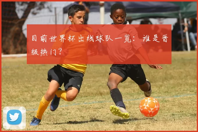 目前世界杯出线球队一览：谁是晋级热门？