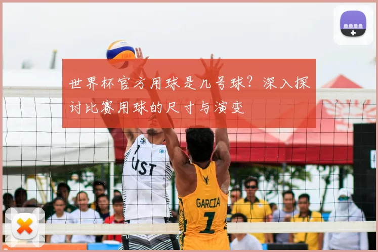 世界杯官方用球是几号球?深入探讨比赛用球的尺寸与演变