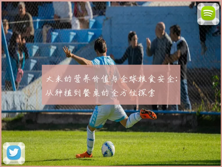 大米的营养价值与全球粮食安全：从种植到餐桌的全方位探索