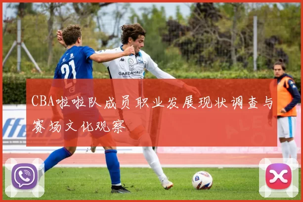CBA啦啦队成员职业发展现状调查与赛场文化观察