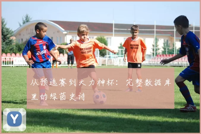 从预选赛到大力神杯：完整数据库里的绿茵史诗