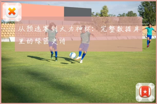 从预选赛到大力神杯:完整数据库里的绿茵史诗