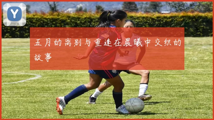五月的离别与重逢在晨曦中交织的故事