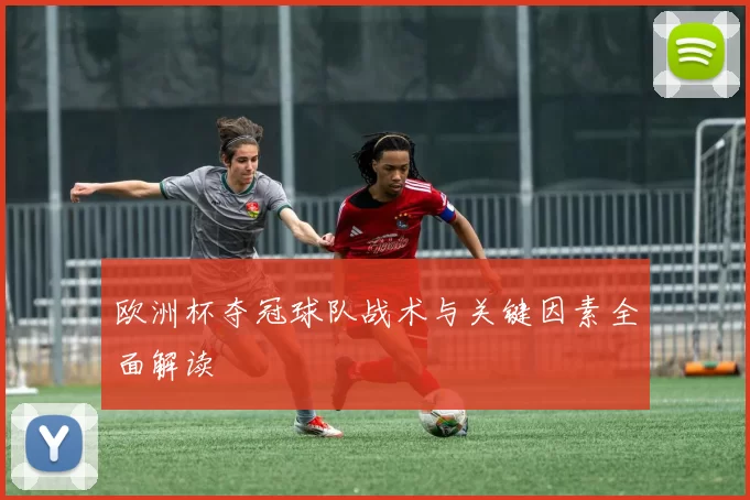 欧洲杯夺冠球队战术与关键因素全面解读