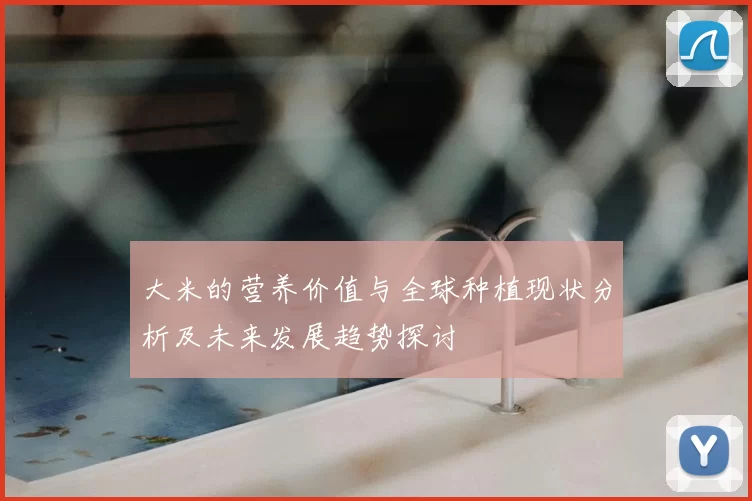 大米的营养价值与全球种植现状分析及未来发展趋势探讨