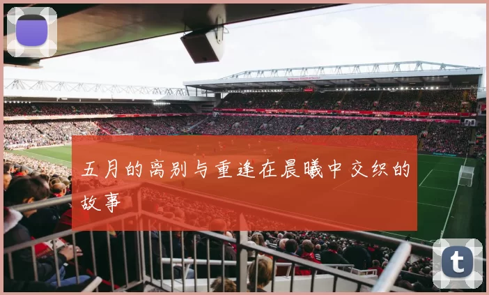 五月的离别与重逢在晨曦中交织的故事