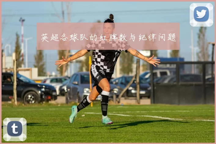 英超各球队的红牌数与纪律问题