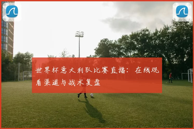 世界杯意大利队比赛直播:在线观看渠道与战术复盘