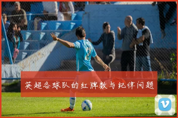 英超各球队的红牌数与纪律问题