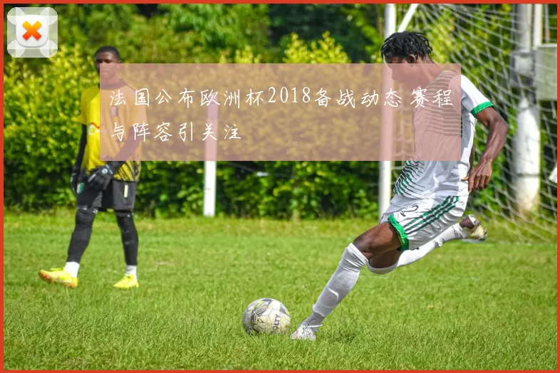 法国公布欧洲杯2018备战动态 赛程与阵容引关注