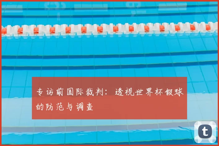 专访前国际裁判：透视世界杯假球的防范与调查