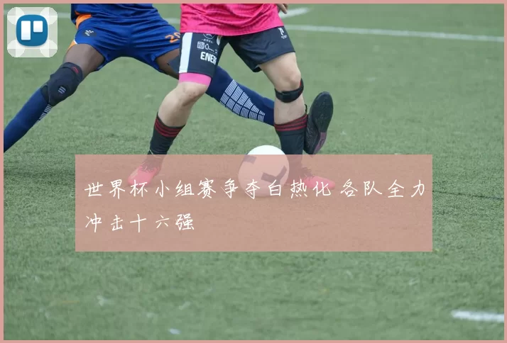 世界杯小组赛争夺白热化 各队全力冲击十六强