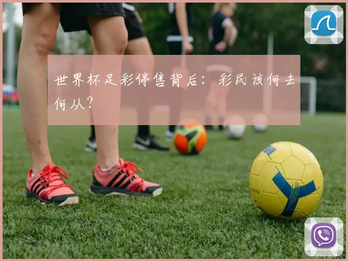 世界杯足彩停售背后:彩民该何去何从?