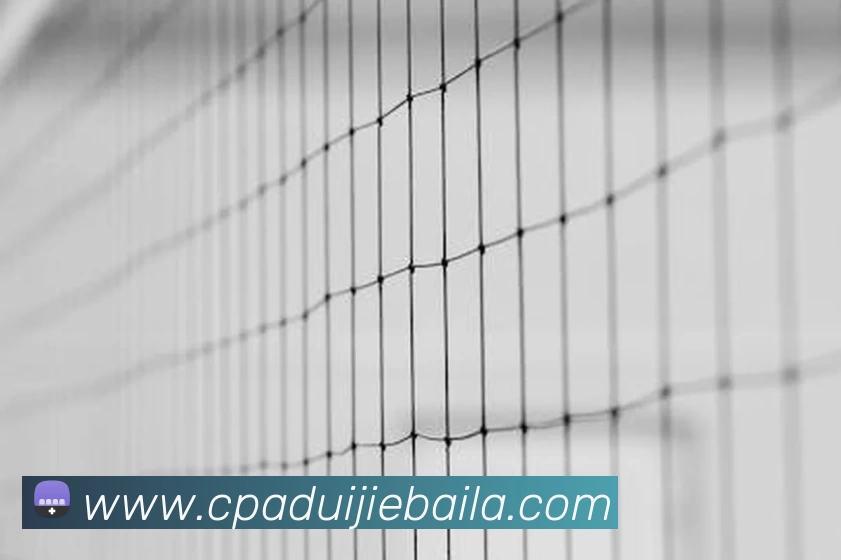 爱游戏官网品牌故事