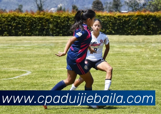 爱游戏官网APP 体育赛事宣传图